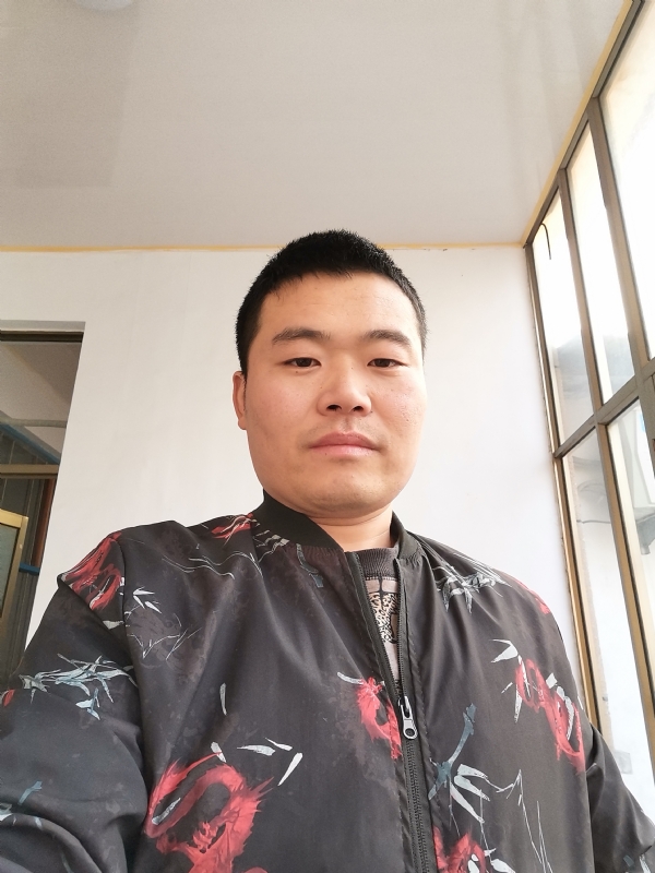 会飞的猪的第一张照片--山东中老年相亲网