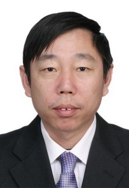 绿油油的榕树的第一张照片--山东中老年相亲网